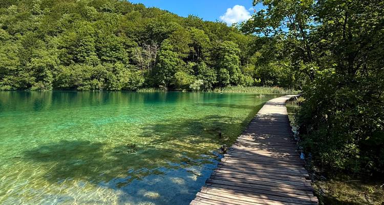 Houten pad over een helder meer omringd door bos.