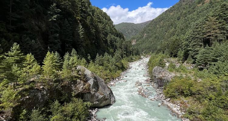 Een schilderachtige rivier die door een dicht bos stroomt met bergen in de verte.