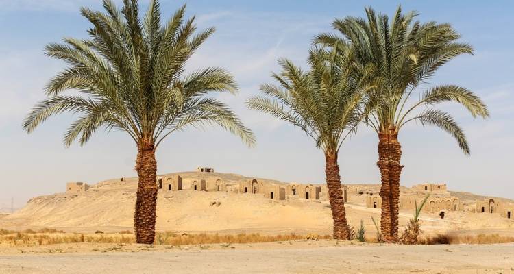 Wüstenoase mit Palmen und entfernten Ruinen.