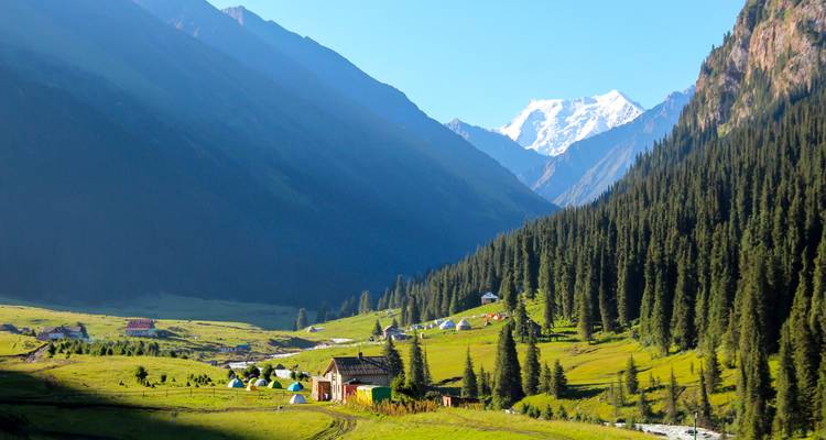 Scenic alpine valley with green meadows, fir forests, distant snowy peaks and scattered tents of a campsite.