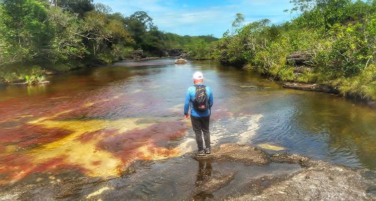 Wanderer mit Rucksack steht am Rand des Caño Cristales und blickt über die farbenfrohen roten und gelben Gewässer.