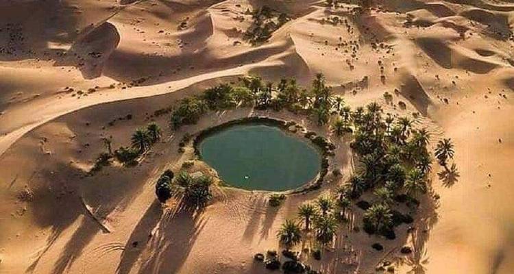 Luchtfoto van een oase omringd door zandduinen.