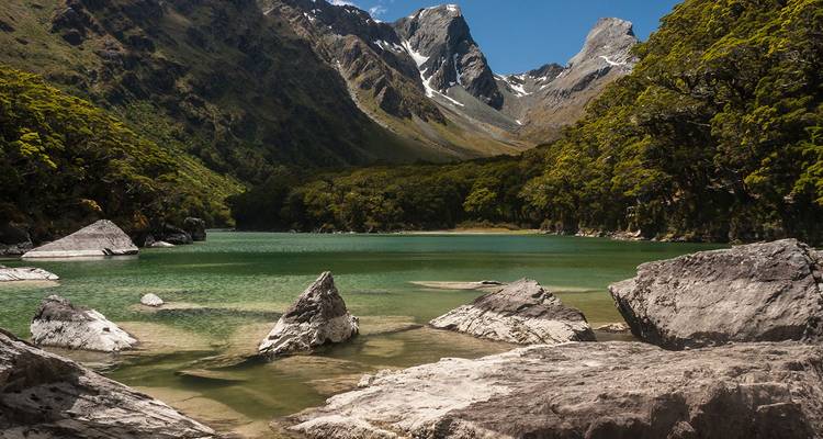 Emerald waters fill a secluded alpine lake surrounded by dense beech forest and jagged snow-cloaked peaks in Mount Aspiring National Park.