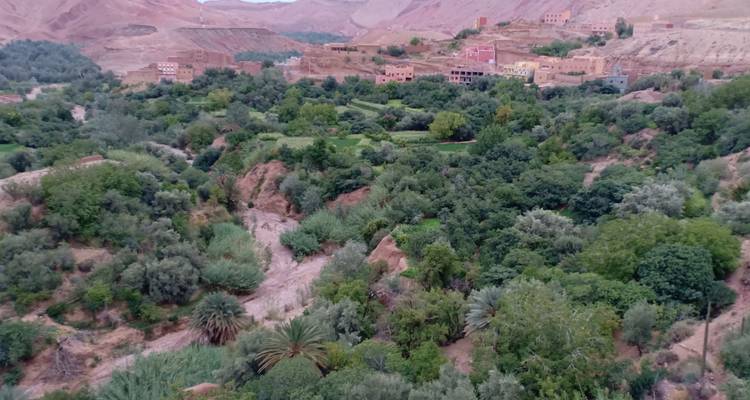 Üppiges grünes Tal mit verstreuten Gebäuden.