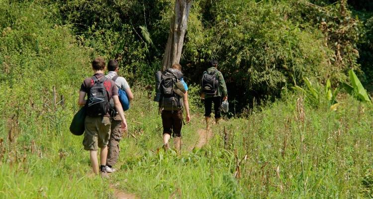 Group of people hiking through a forested trail.