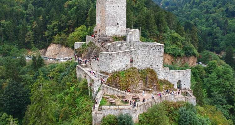 Historisch stenen kasteel omringd door dicht bos.