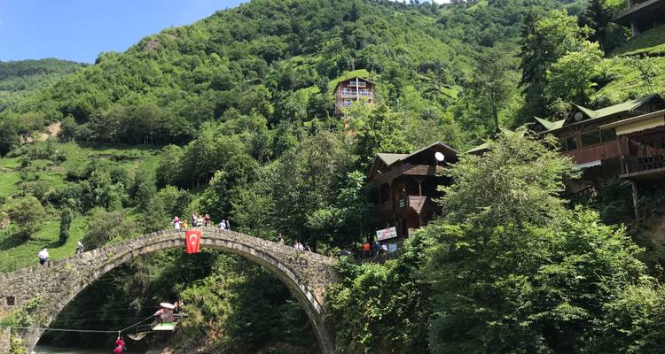 Stenen brug met mensen en huizen op een groene heuvelflank.