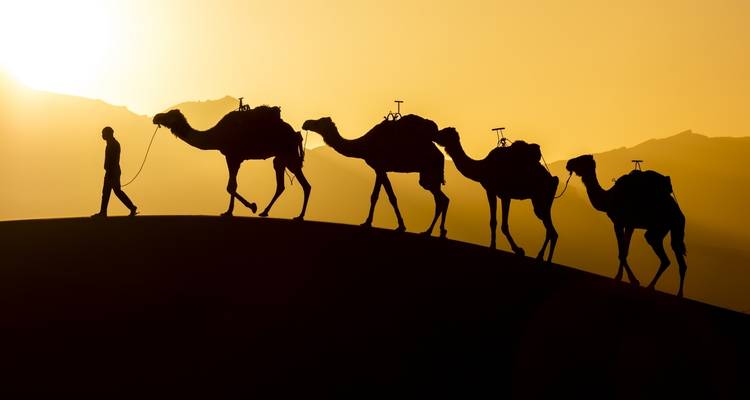 Silhouet van een kameelkaravaan die woestijnduinen oversteekt bij zonsondergang.