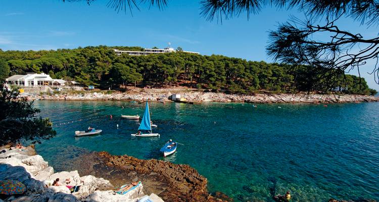 Scène côtière avec des bateaux et une colline boisée.
