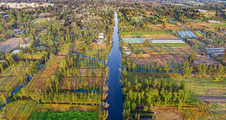 Vue aérienne de terres agricoles et de canaux d'irrigation au Mexique.