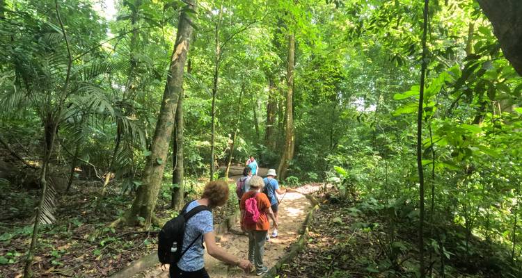 Un petit groupe fait une randonnée le long d'un sentier ombragé dans la jungle, entouré d'une végétation dense.
