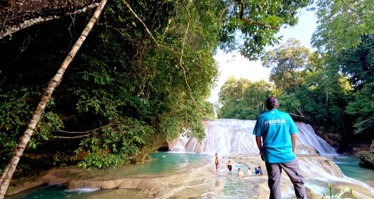 Guide en chemise bleue surplombant une cascade de jungle turquoise où plusieurs voyageurs nagent et se détendent.