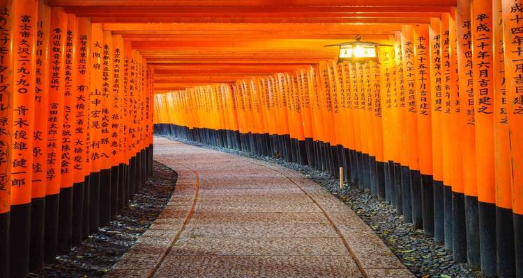 Weg gesäumt von roten Torii-Toren in einer tunnelartigen Formation.