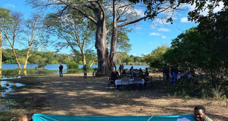 Group of people dining by a lakeside with trees.