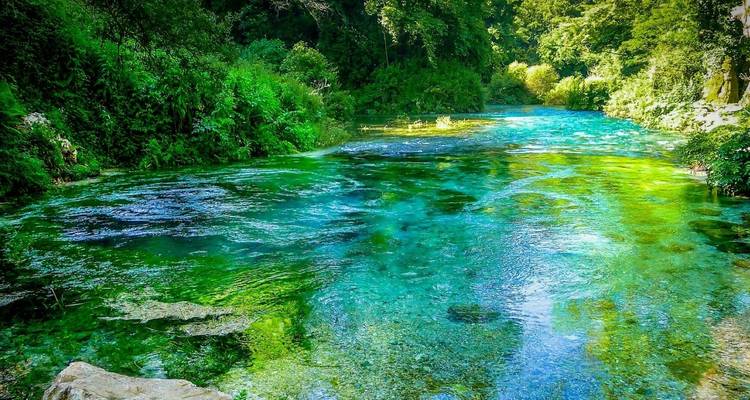 Kleurrijke natuurlijke bron omringd door weelderige groene vegetatie.