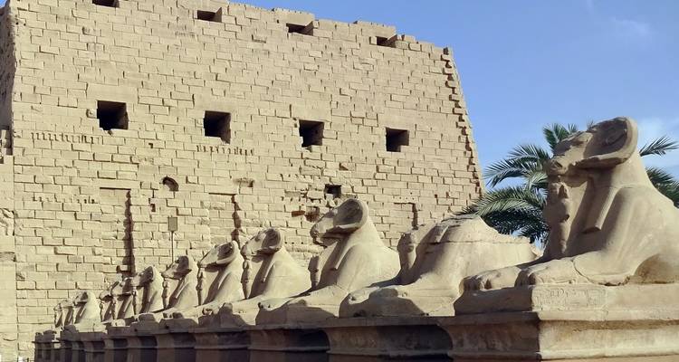 Rij van sfinxbeelden die leidt naar een grote oude muur met palmbomen op de achtergrond.