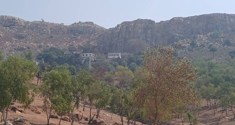 Distant view of a cliffside with scattered trees and buildings.