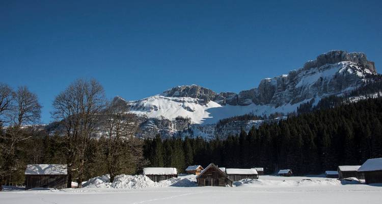 Cabanes enneigées dans une forêt avec des montagnes en arrière-plan.