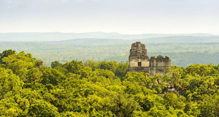 Ein antiker Maya-Tempel, der sich über einem dichten grünen Dschungeldach unter einem diesigen Himmel erhebt