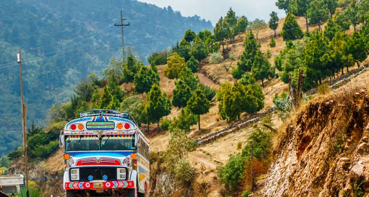 Bunter guatemaltekischer Hühnerbus, der auf einer gewundenen Bergstraße, die von Kiefern gesäumt ist, entlangfährt