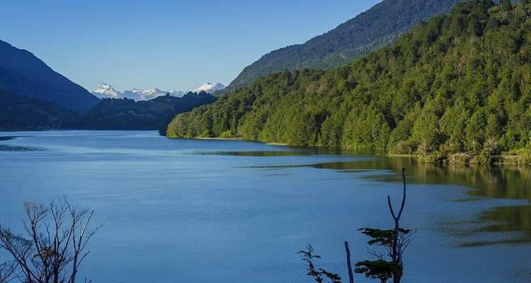 Un sereno río azul serpentea a través de un valle densamente boscoso bajo cielos despejados y lejanos picos nevados.