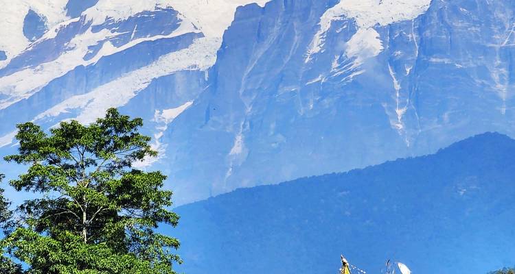 Ein malerischer Blick auf Berge mit einem Baum im Vordergrund.