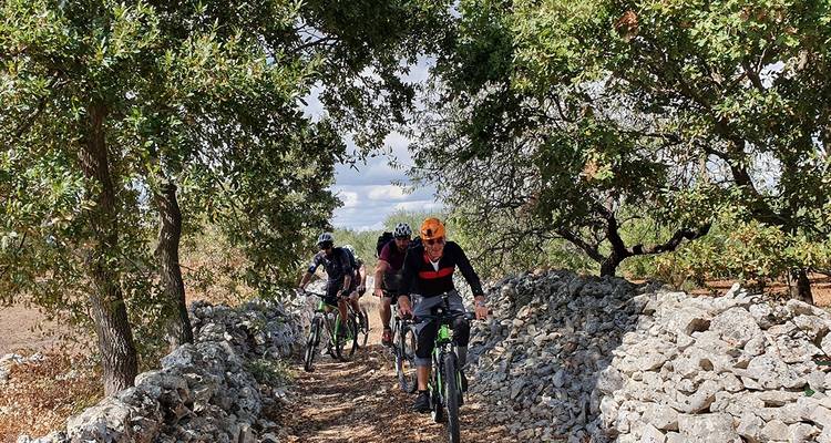Cyclists riding on a rocky path surrounded by trees.
