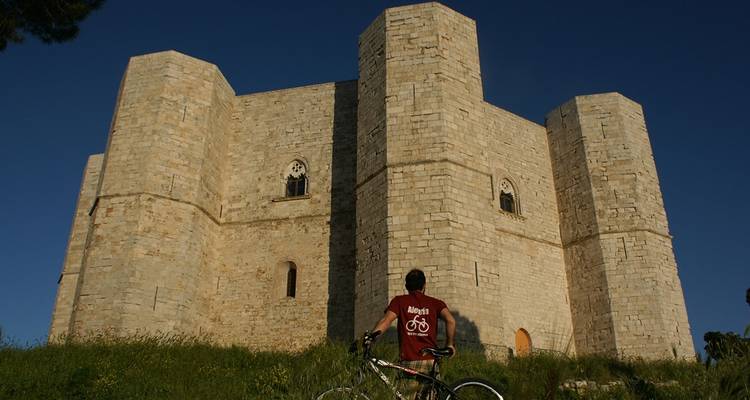 A person with a bicycle looking at Castel del Monte.