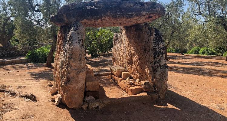 Ancient stone structure surrounded by olive trees.