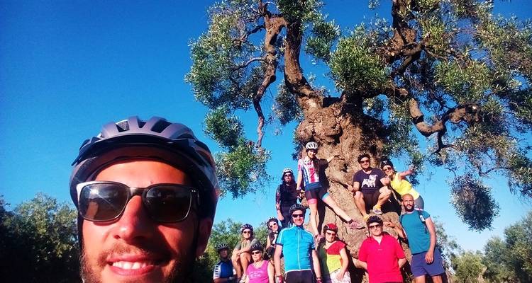 Group of cyclists in front of an old tree posing for a photo.
