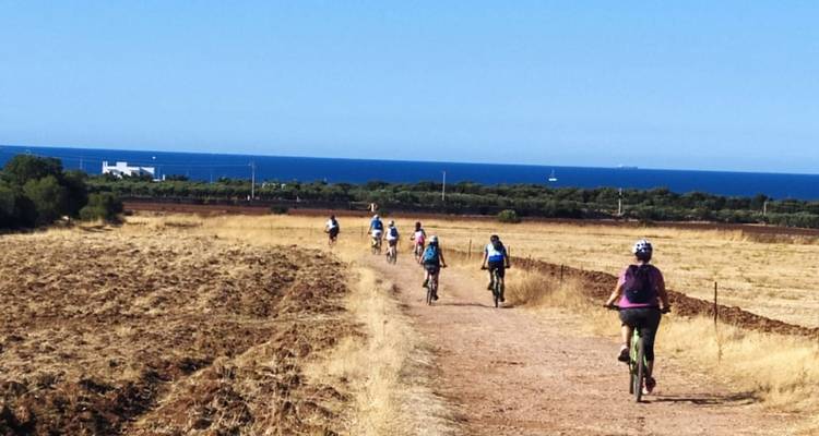 Cyclists riding along a path near the coast.