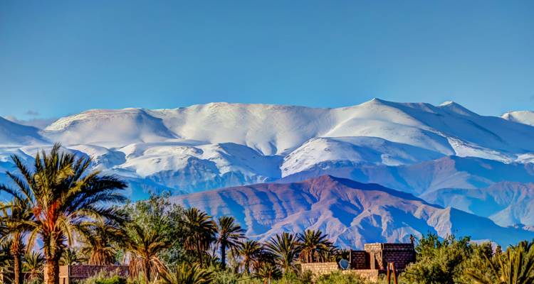 Gebirgszug mit schneebedeckten Gipfeln und Palmen.