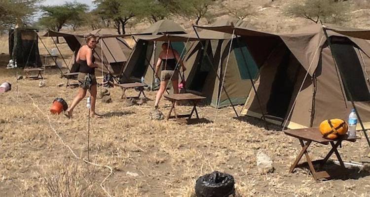 Outdoor camping tents on a dry, grassy area with campers in the scene.