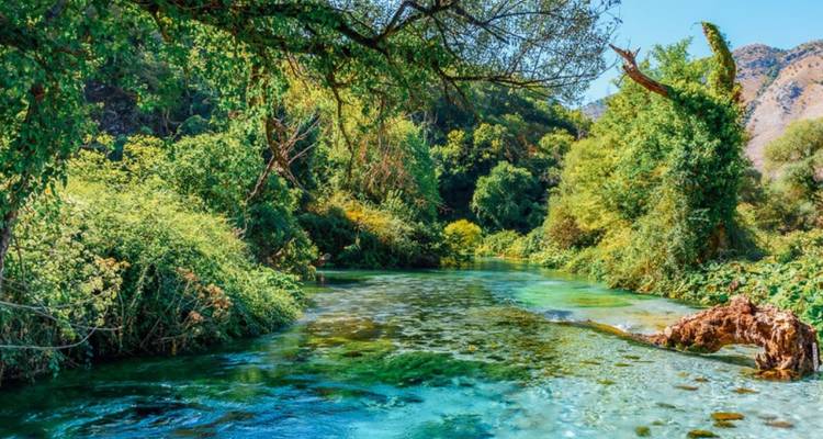 Escena exuberante de río con agua clara y follaje denso.