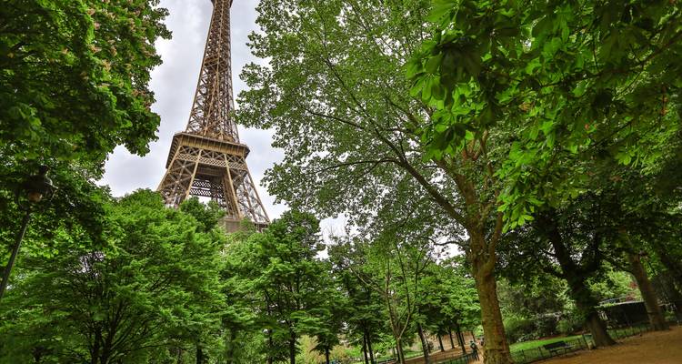 Vista de la Torre Eiffel a través de árboles verdes en un parque.
