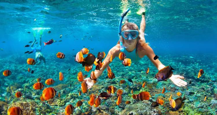 Snorkeller surrounded by vibrant tropical fish glides over colourful coral reef in crystal clear water.