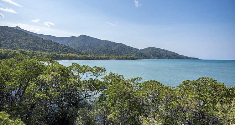 Een weelderige groene kustlijn met een kalme blauwe zee.