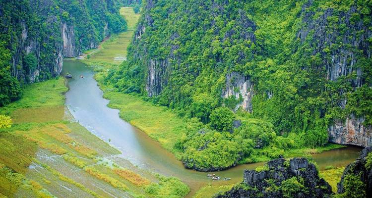 Luftaufnahme einer üppigen Landschaft mit einem Fluss.