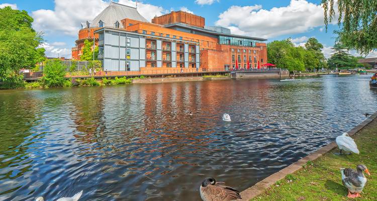 River view with a modern building and swans.