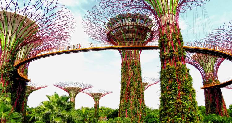 Tuinen bij de Baai met verhoogde loopbrug