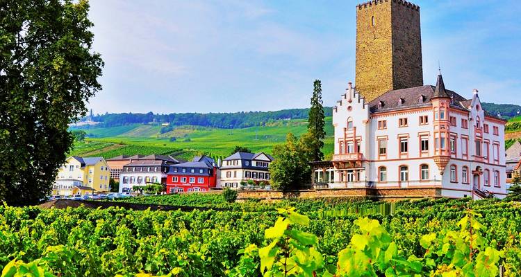 A stately castle-like residence rises above lush vineyards under a clear sky in the Rhine Valley.
