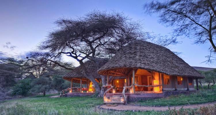 Traditionele hutten onder bomen met gloeiende interieurs