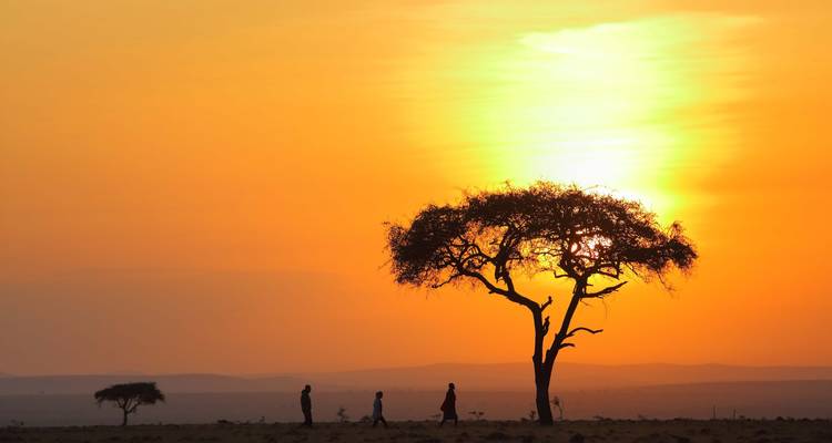 Silhouetten von Personen, die bei Sonnenuntergang an einem Akazienbaum vorbeigehen.