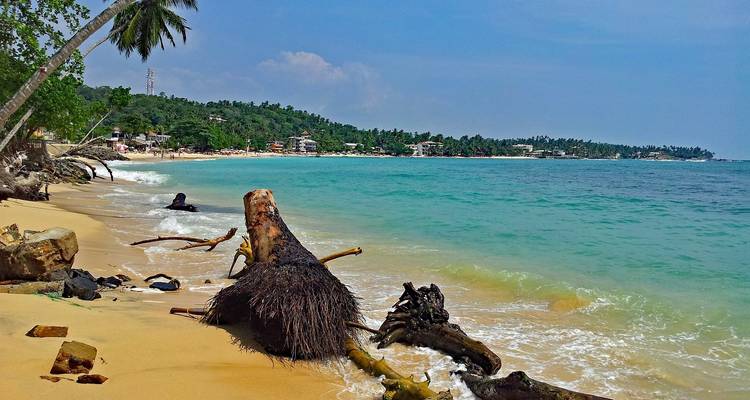 Wunderschöner tropischer Strand mit ruhigem türkisfarbenem Wasser und üppigem Grün.
