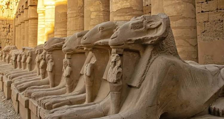 Statues of rams in the temple of Karnak, Egypt.