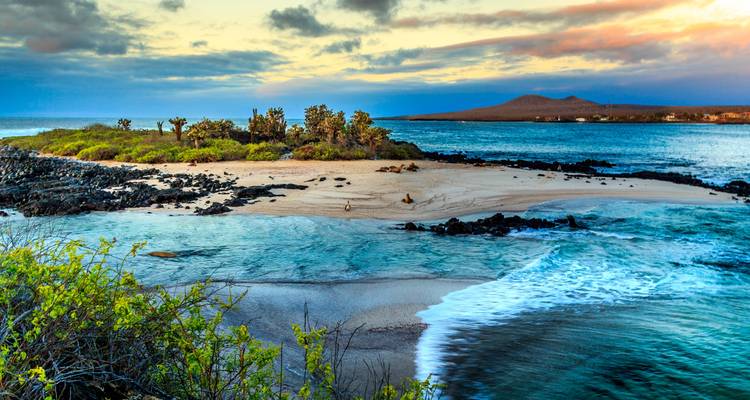 Escena costera de playa con olas y cielo del atardecer.