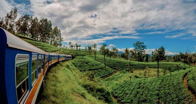 Zug schlängelt sich durch malerische Teeplantagen.
