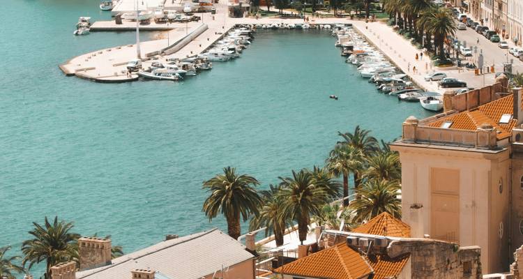 Une marina avec des bateaux et des palmiers.