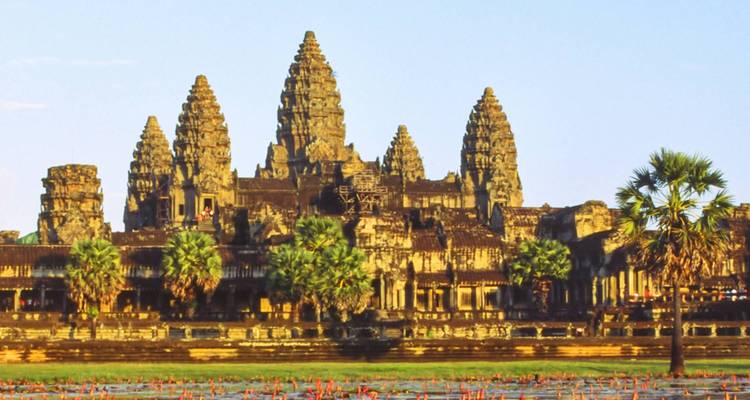 Angkor Wat in the evening light with palm trees and lotus flowers in the foreground.
