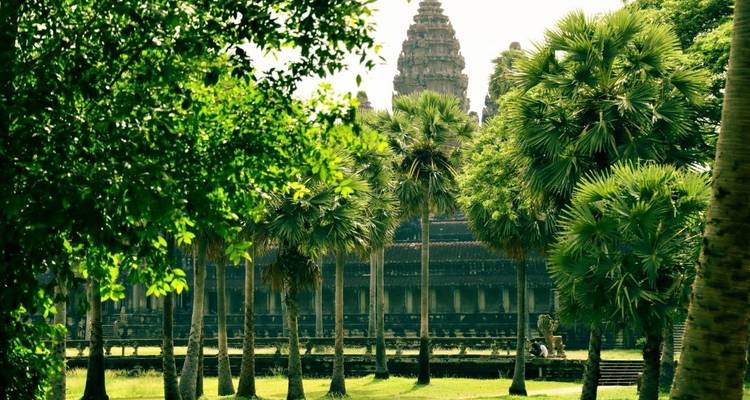 Tempel umgeben von hohen Palmen und üppigem Grün.
